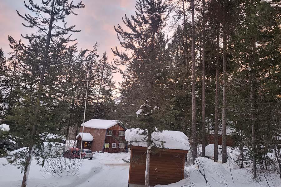 Wild Huckleberry Cabin photo 1